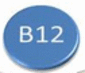B12 Diet Logo B12 Diet Logo