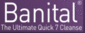 Banital Logo Banital Logo