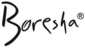 Boresha Skinny Logo Boresha Skinny Logo