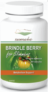 Brindleberry 5000 Review