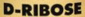 D Ribose Logo D Ribose Logo