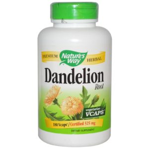 Dandelion Review