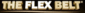 Flex Belt Logo Flex Belt Logo