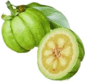 Garcinia Cambogia Logo Garcinia Cambogia Logo