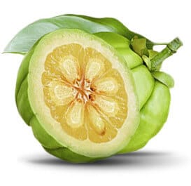 garcinia-cambogia-product-image.jpg