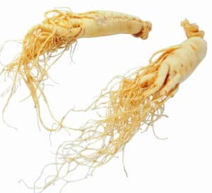 Korean Ginseng Review
