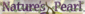 Natures Pearl Logo Natures Pearl Logo