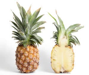Pineapple Diet Review