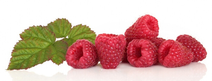 Donde comprar garcinia cambogia en vigo photo 1