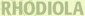 Rhodiola Logo Rhodiola Logo
