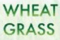 Wheat Grass Logo Wheat Grass Logo