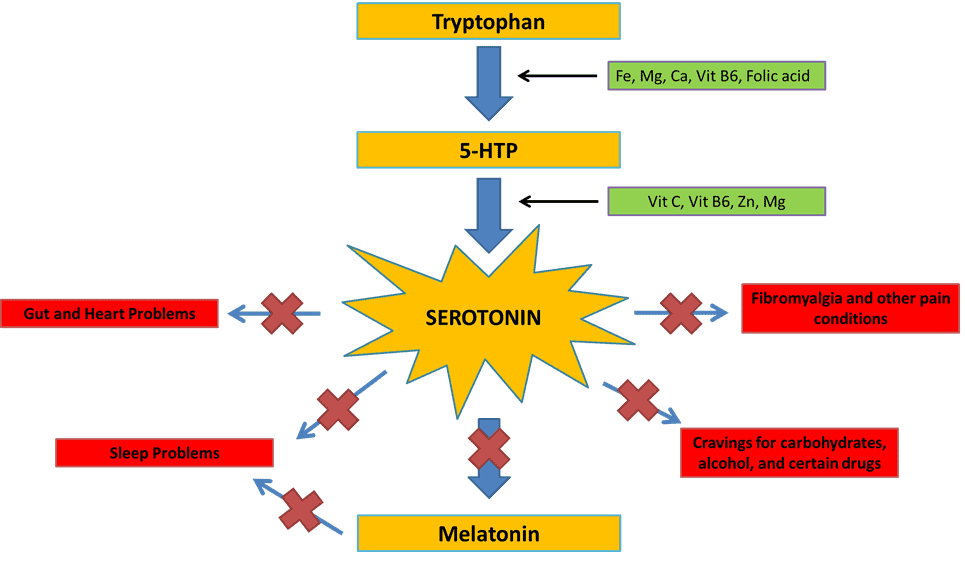 5HTP Benefits, Uses, Warnings and Side Effects (UPDATE Jul 2018