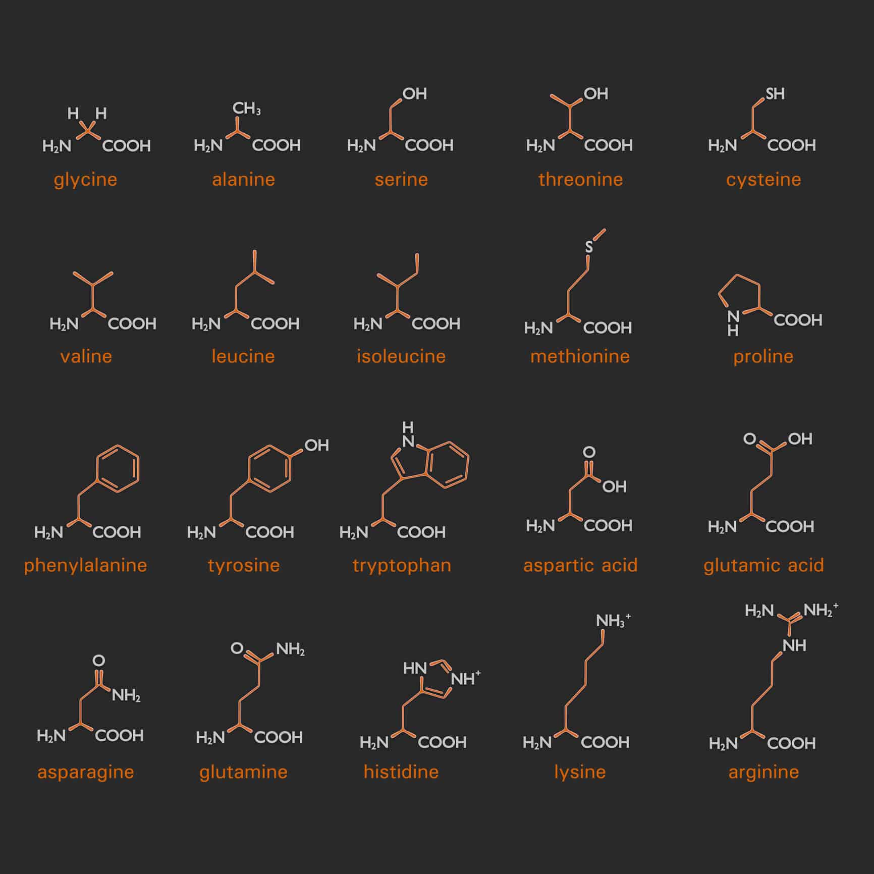 Nitro Tech ingredients