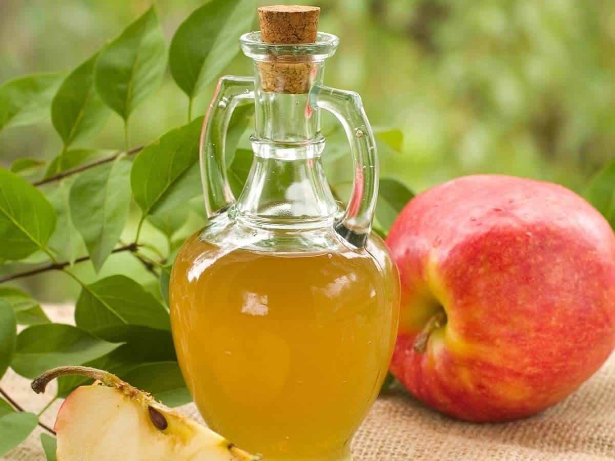 Apple Cider Vinegar Uses, Side Effects and Benefits (UPDATE Mar 2018