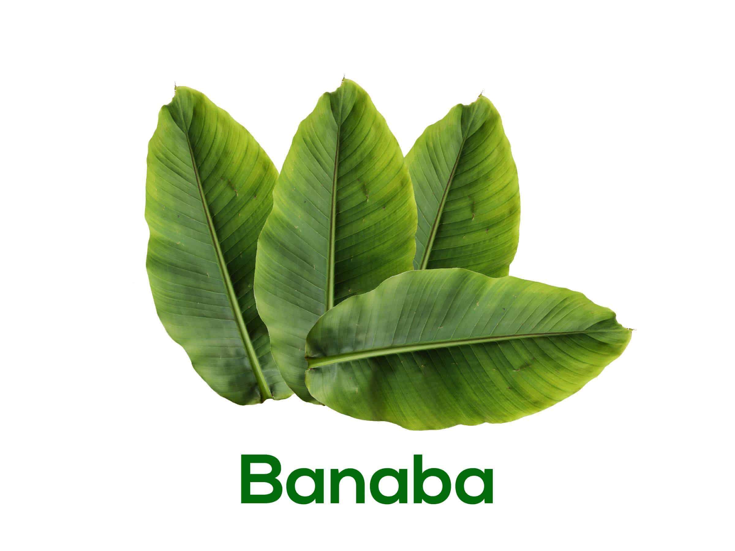 banaba