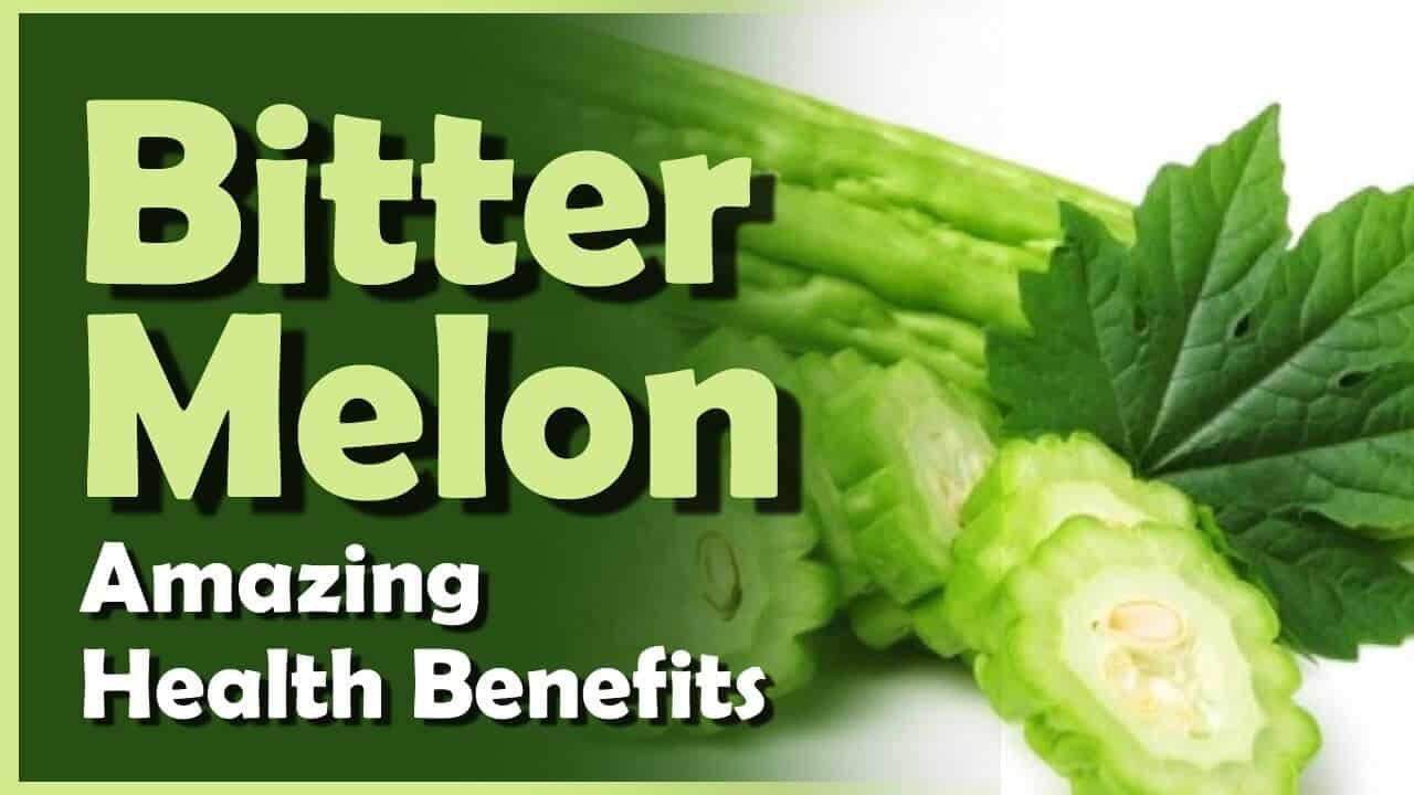 Bitter Melon What are Bitter Melon Health Benefits? (UPDATE 2018