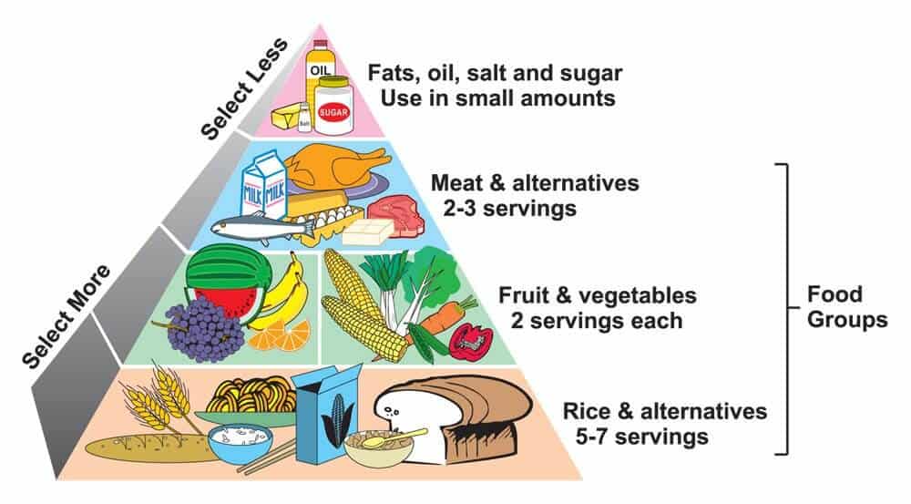 cardiac diet barca fontanacountryinn com cardiac diet