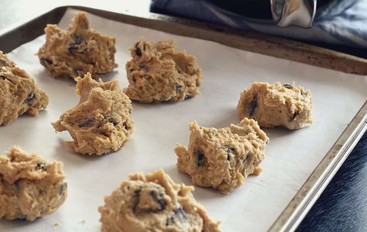 Coconut Flour Chocolate Chip Cookie Dough