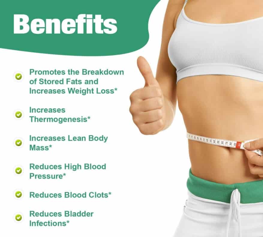 Banting diet plan recipes image 5