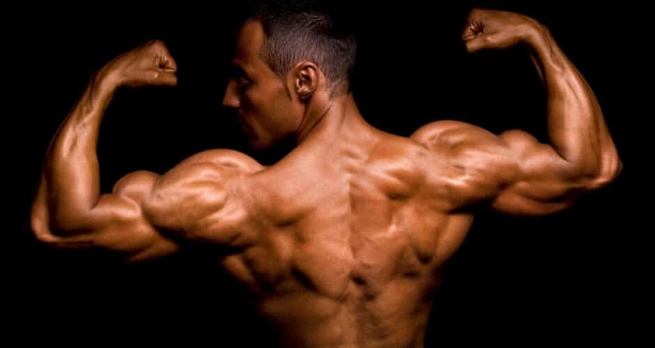 DHEA Review (UPDATE Feb 2018) 24 Things You Need to Know