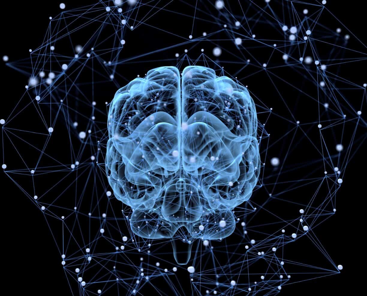 freemind nootropics freemind nootropics