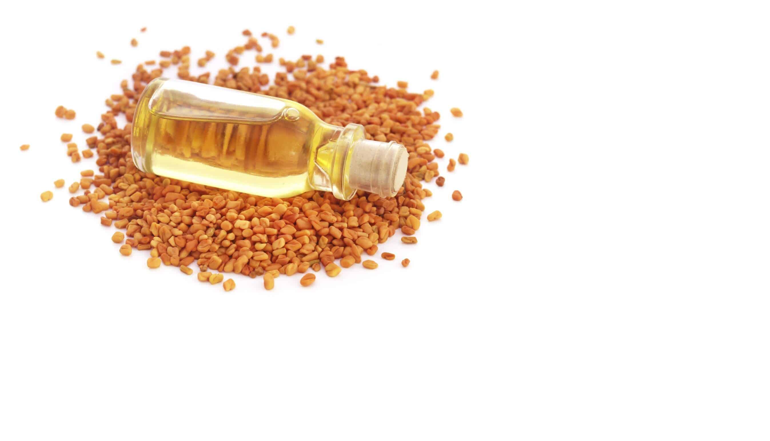 Fenugreek What are the Benefits of Fenugreek Seeds?