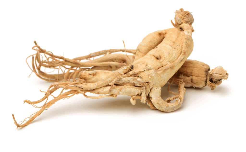 plexus metaburn ingredients ginseng