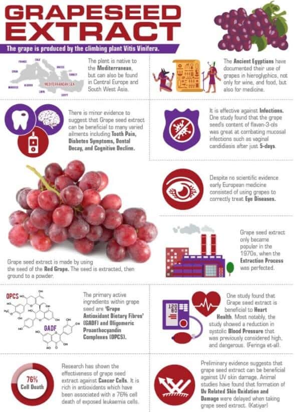 Grapeseed Extract A Beginner’s Guide (UPDATE Jul 2018) 16 Things You Need to Know