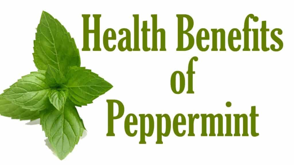 Peppermint Benefits, Uses and Side Effects (UPDATE Jun 2018) 10