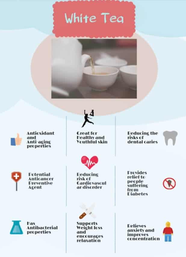 White Tea A Delicate Tea for Wellness? (UPDATE Jul 2018) 13 Things