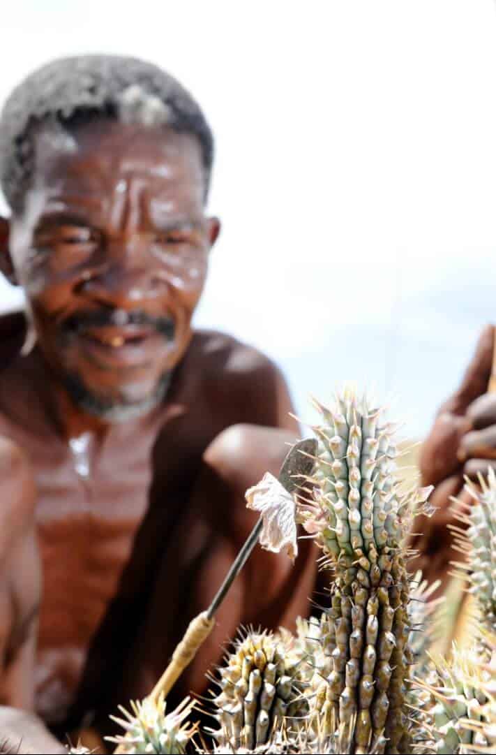 Hoodia-Gordonii-Source.jpg