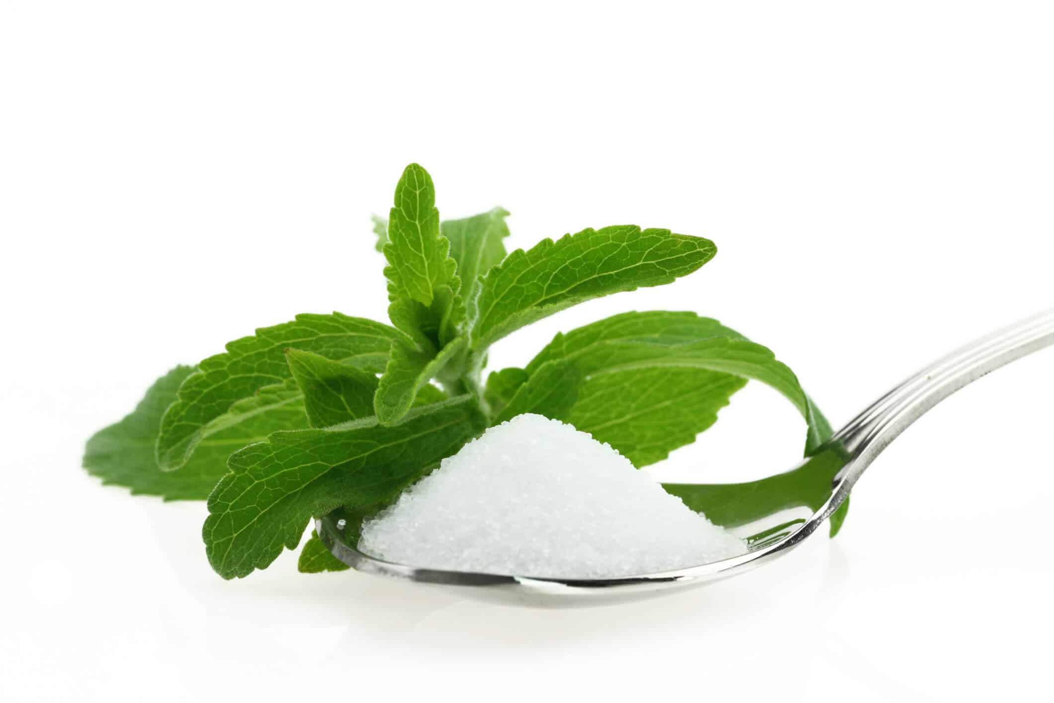 Stevia A Beginner’s Guide (UPDATE 2018) 20 Things You Need to Know