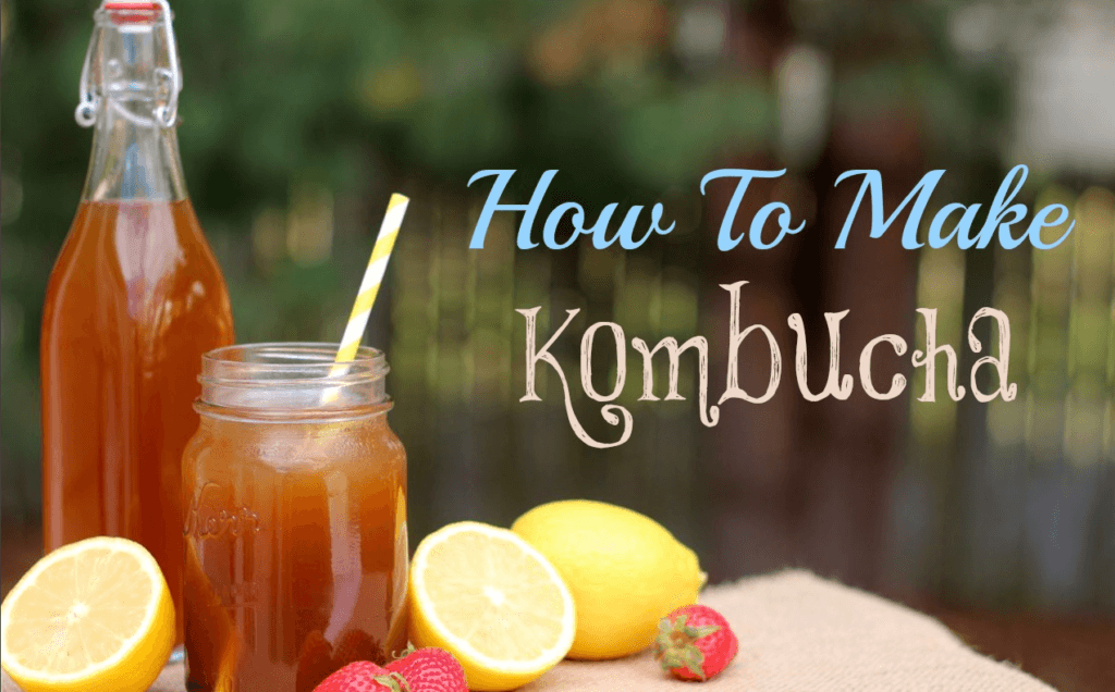 Can You Drink Kombucha At Room Temperature Can You Drink Kombucha At Room Temperature
