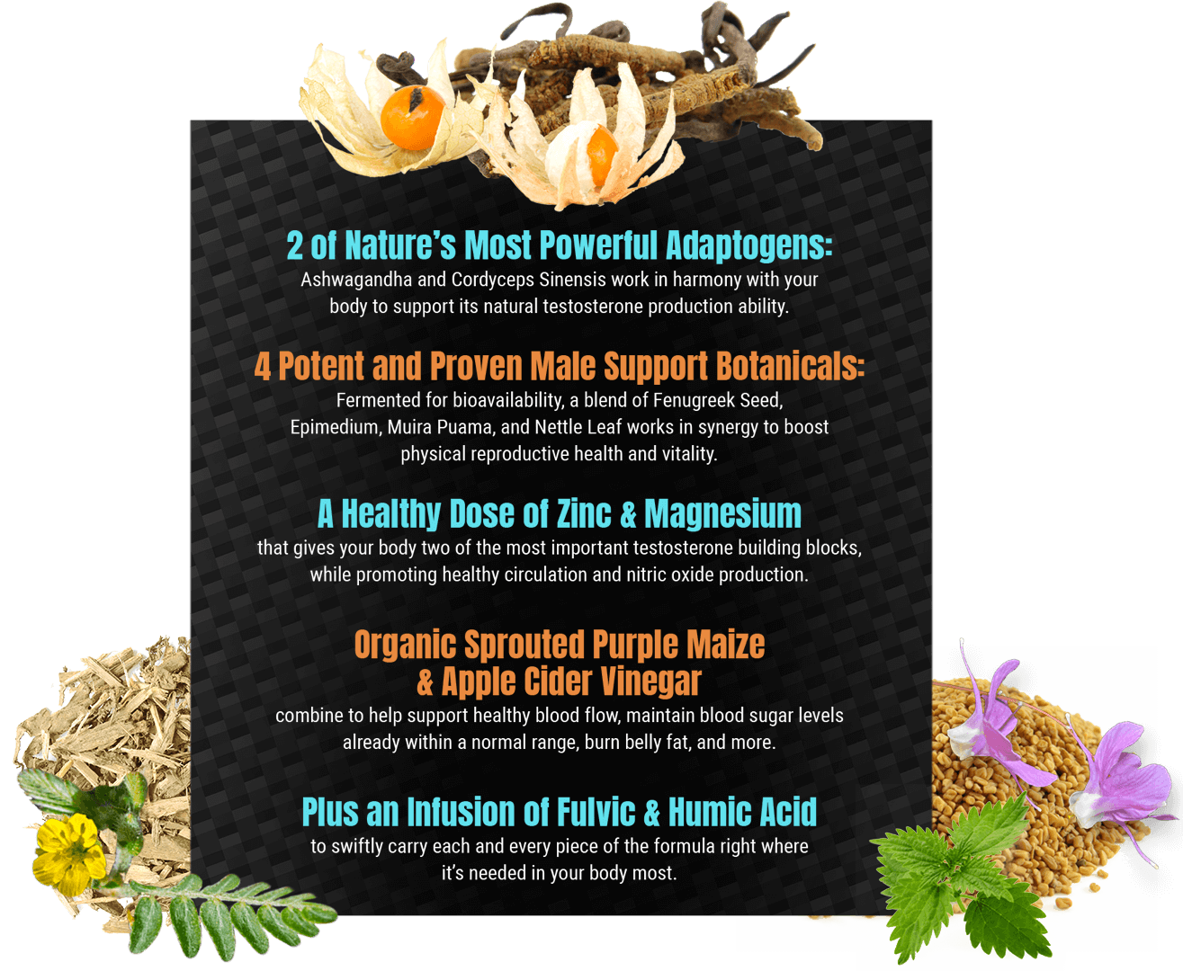 Muira Puama Benefits of “Potency Wood” (UPDATE May 2018) 19 Things