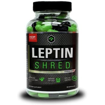 leptin shred