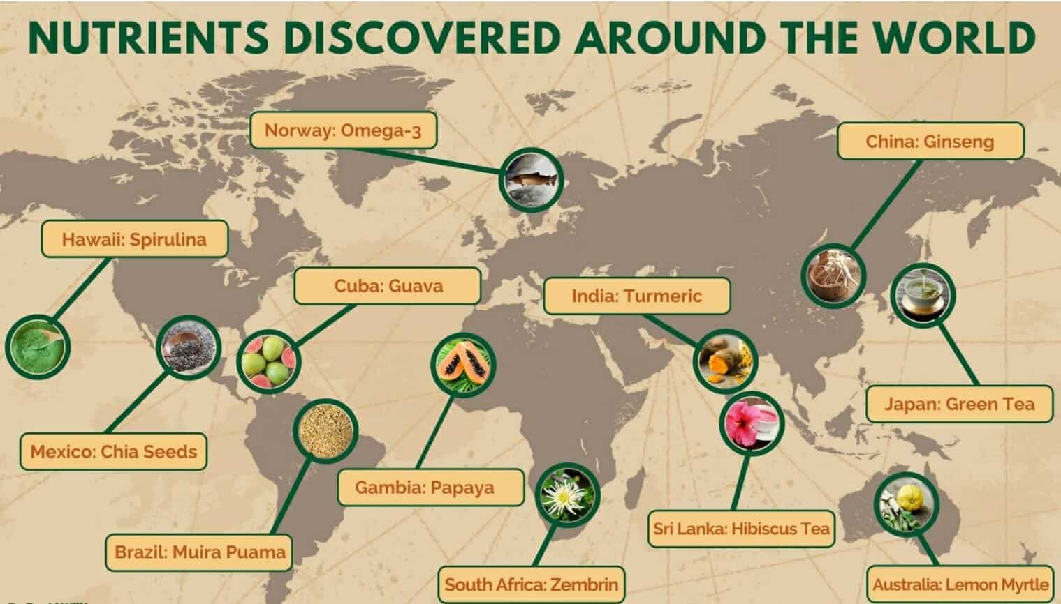 Muira Puama Benefits of “Potency Wood” (UPDATE May 2018) 19 Things