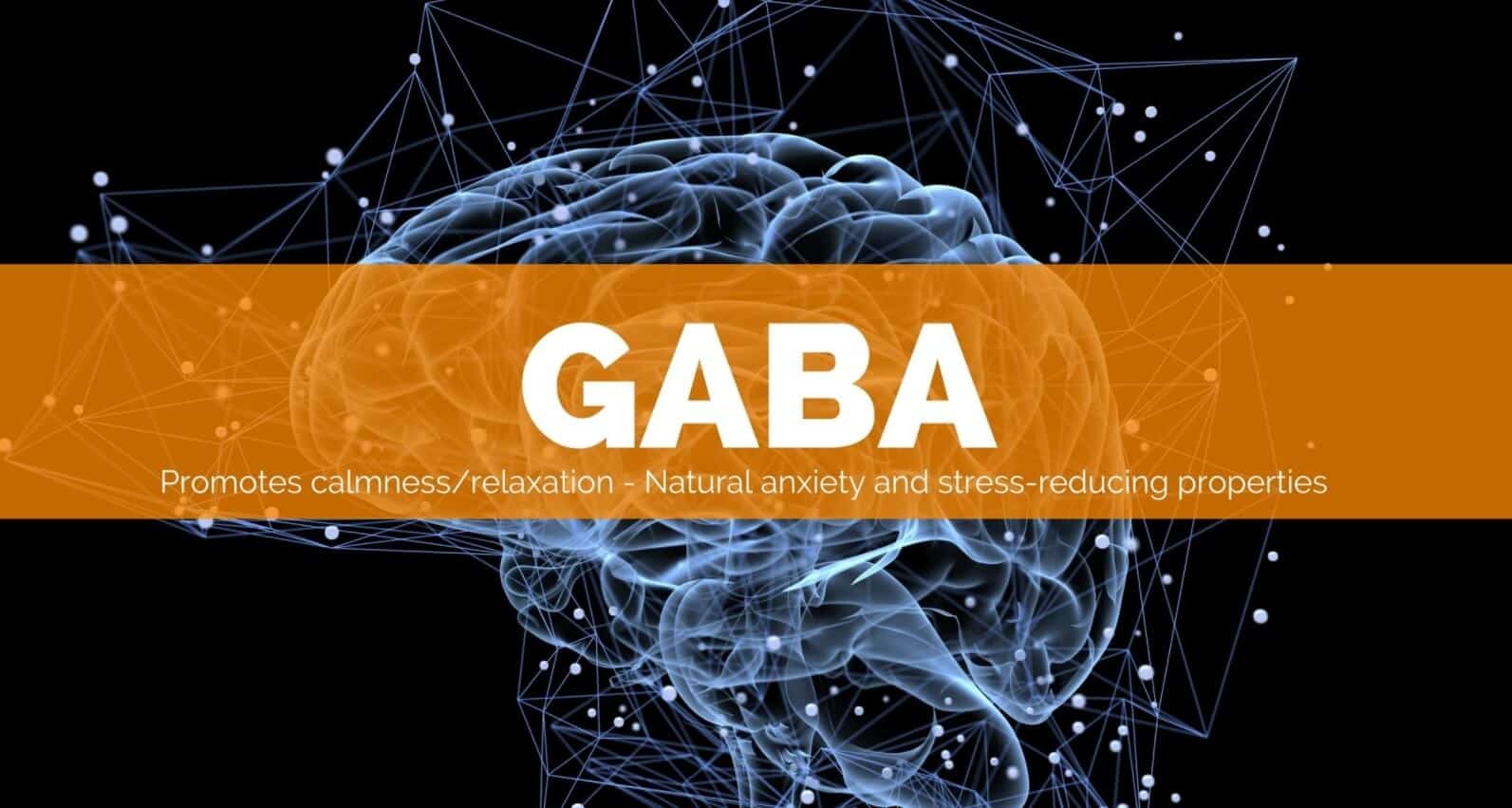 GABA Blocks Neurotransmitters to Better Health (UPDATE 2018) 11