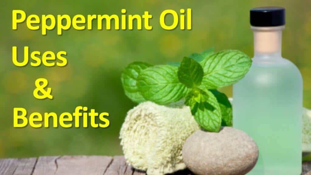 Peppermint Benefits, Uses and Side Effects (UPDATE Jun 2018) 10