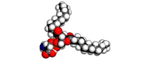 Phosphatidylserine Review