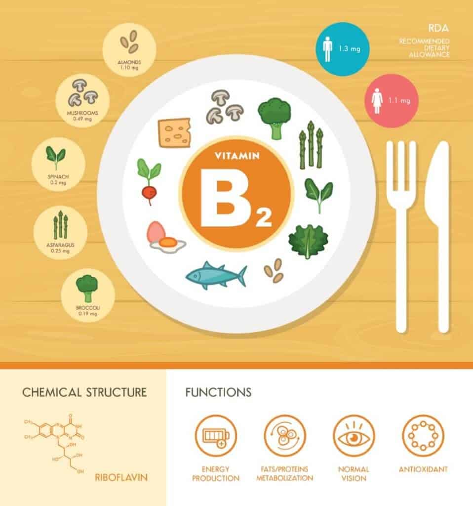 Riboflavin Benefits, Function and Deficiency (UPDATE Jun 2018) 10