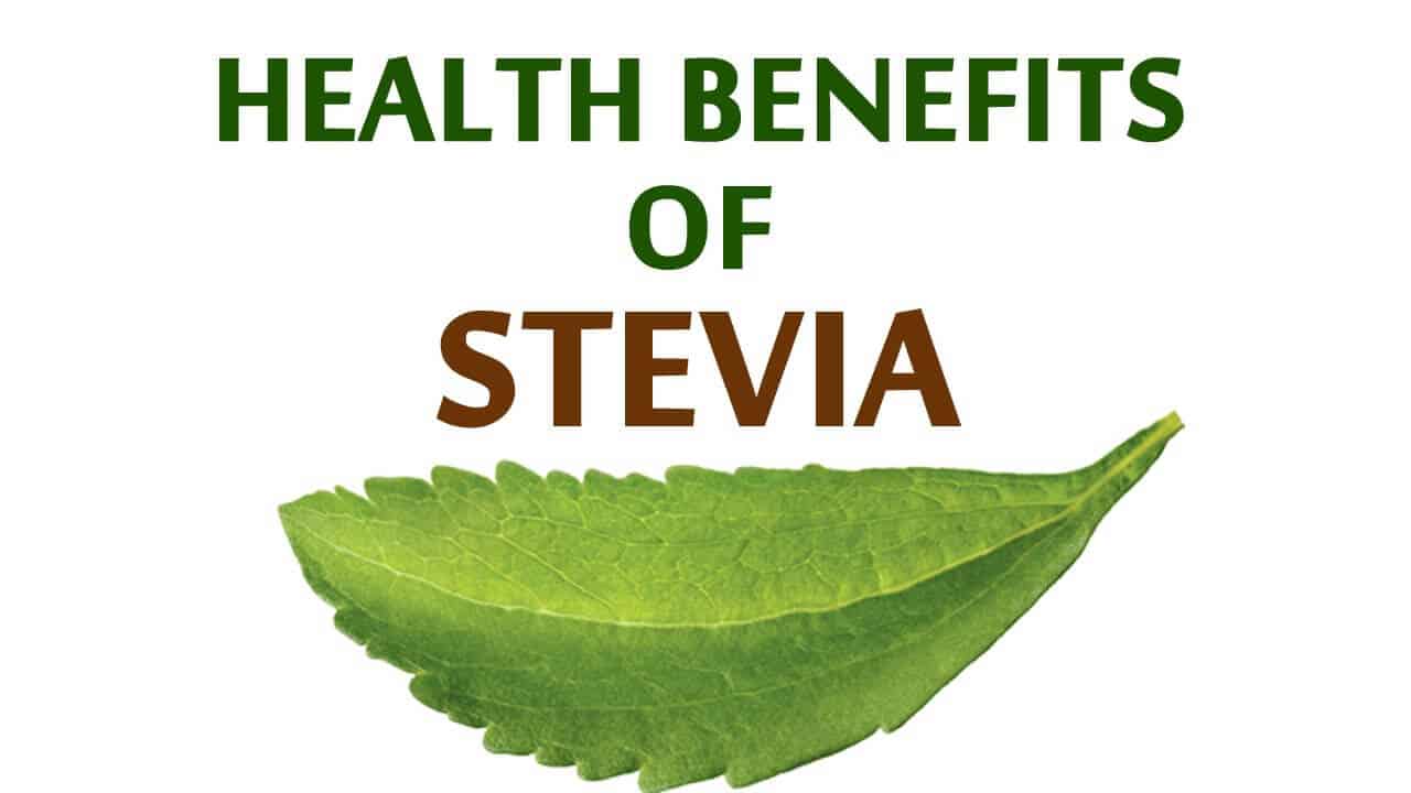 Can You Have Stevia If You Have Ibs at William Bybee blog