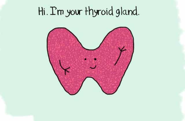 Thyroid And Weight Loss Can Thyroid Problems Promote Weight Loss thyroid-and-weight-loss-understanding-the-connection-walkin-lab