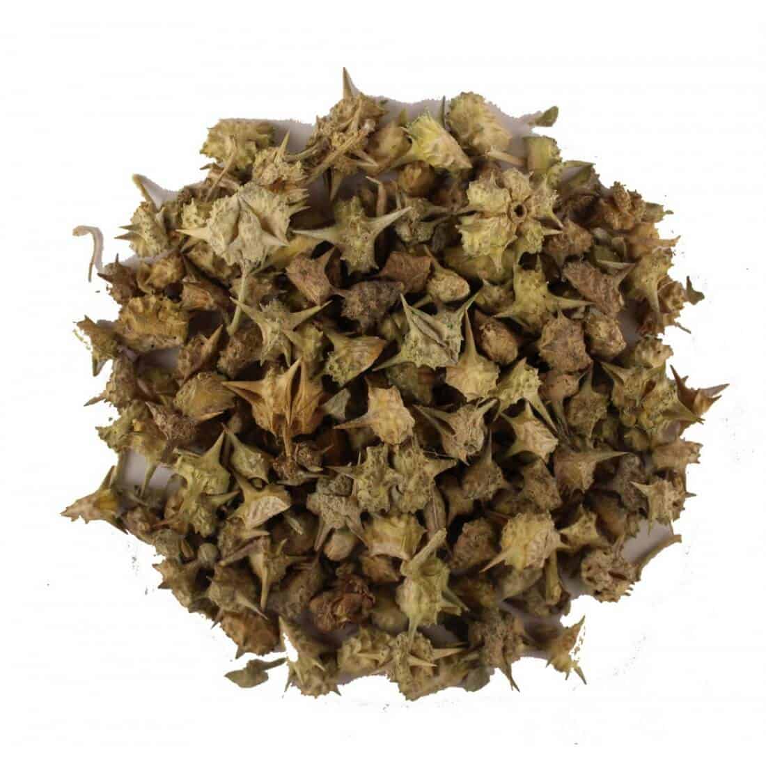 Tribulus-Terrestris Benefits