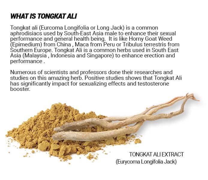 Tongkat Ali Benefits of Longifolia Extract (UPDATE Jul 2018