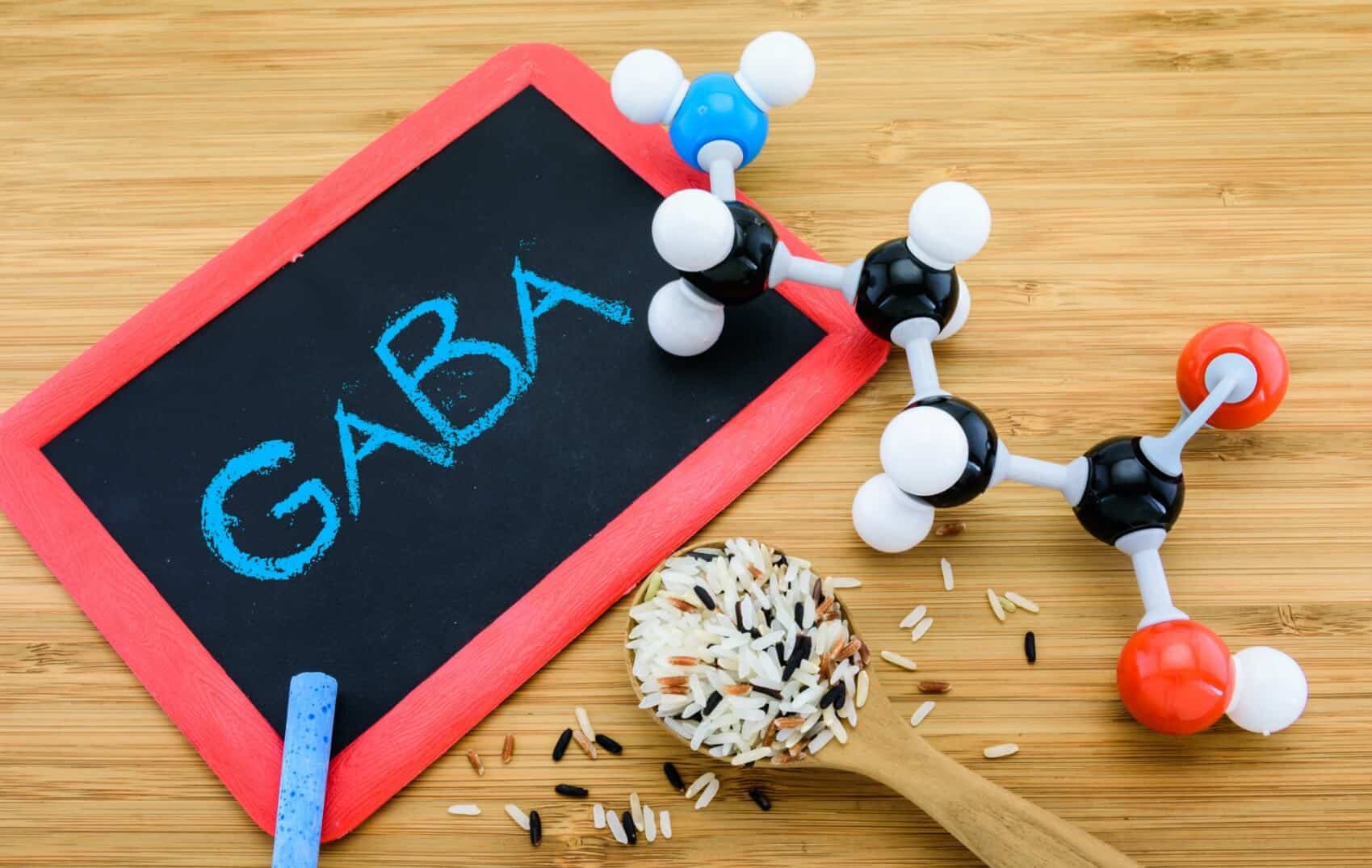 GABA – Blocks Neurotransmitters to Better Health (UPDATE: 2018) | 11 ...