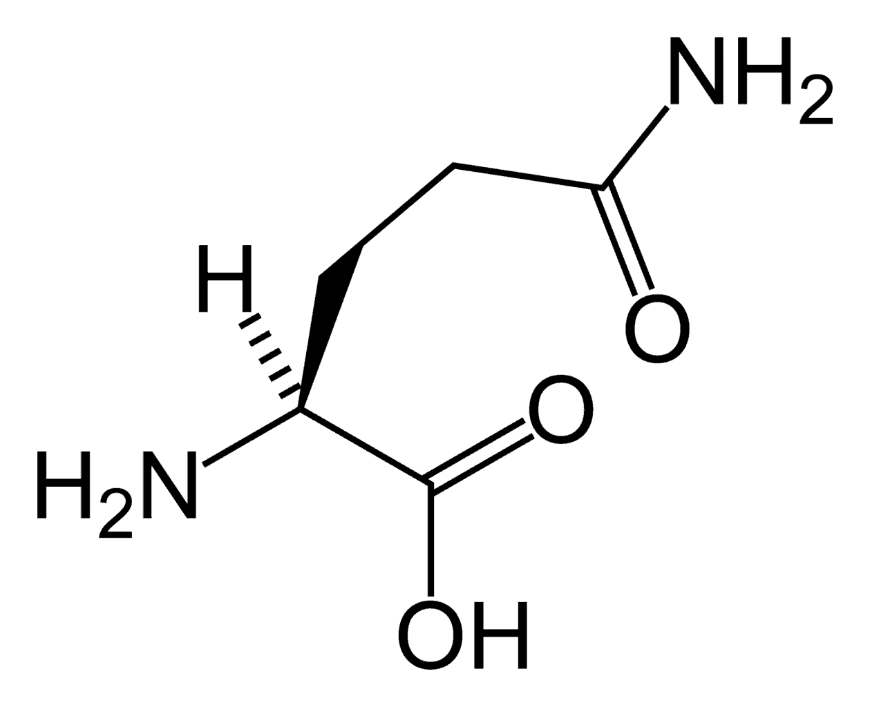 グルタミン 食品 含有 量 少ない 黒い