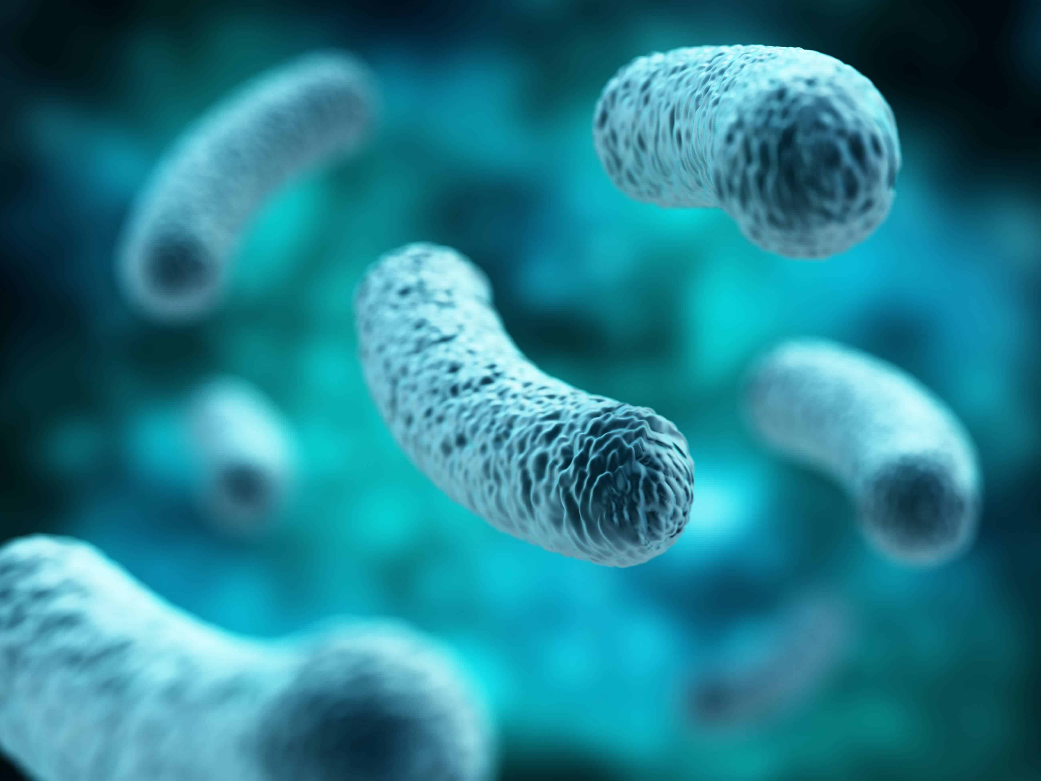 Lactobacillus Acidophilus Benefits of Gut Health (UPDATE Jun 2018