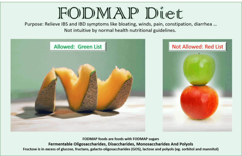 FODMAP Diet A Beginner’s Guide (UPDATE May 2018) 11 Things You