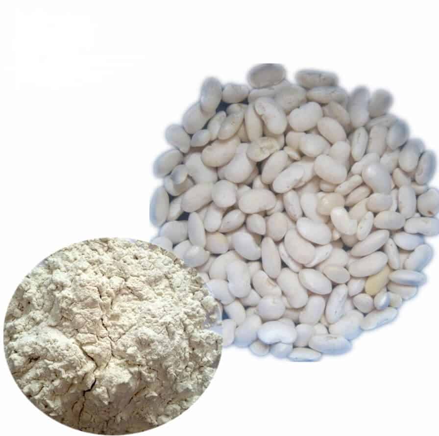 White Kidney Bean Powder