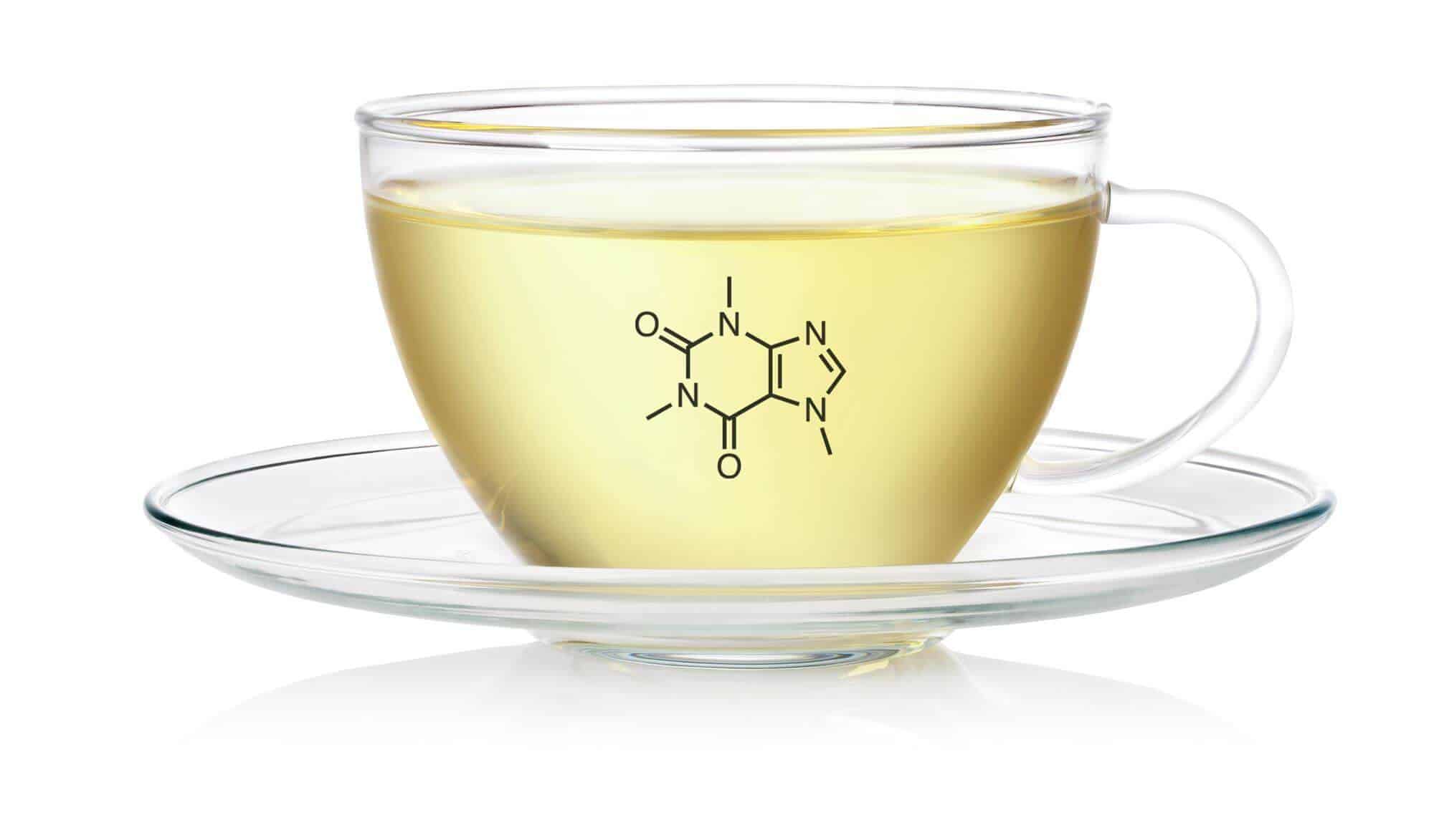 White Tea A Delicate Tea for Wellness? (UPDATE Jul 2018) 13 Things